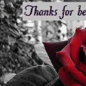 Meet your Posher, Wendy eugene